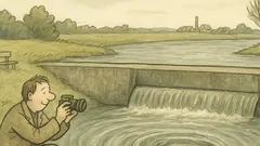 Vtip: U jezu letěl výr nad vírem